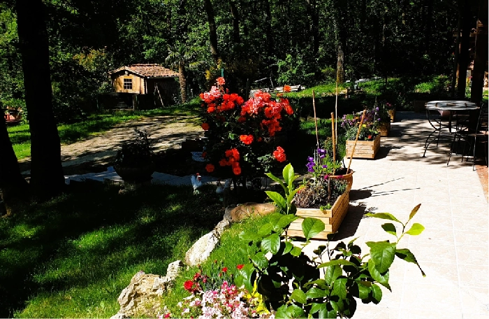 Aménagement de jardin et terrasse après travaux à Labarthe-sur-Lèze